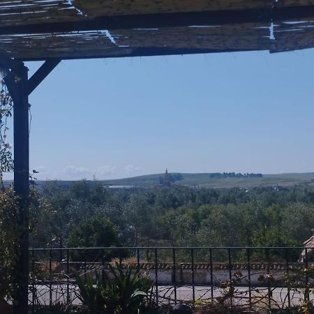 My Small Penthouse With Views.Tourism & Tranquility & Sun Apartment Cordoba Exterior photo